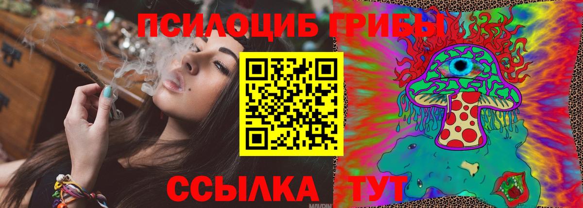 Пугачёв  Галлюциногенные грибы MAGIC MUSHROOMS  купить   Вход с VPN  Галлюциногенные грибы мухоморы 